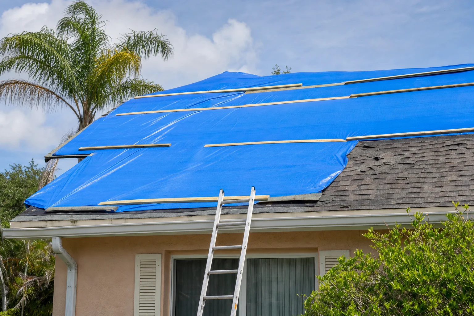Roof Tarping After Storms: What You Need to Know - Professional restoration services image